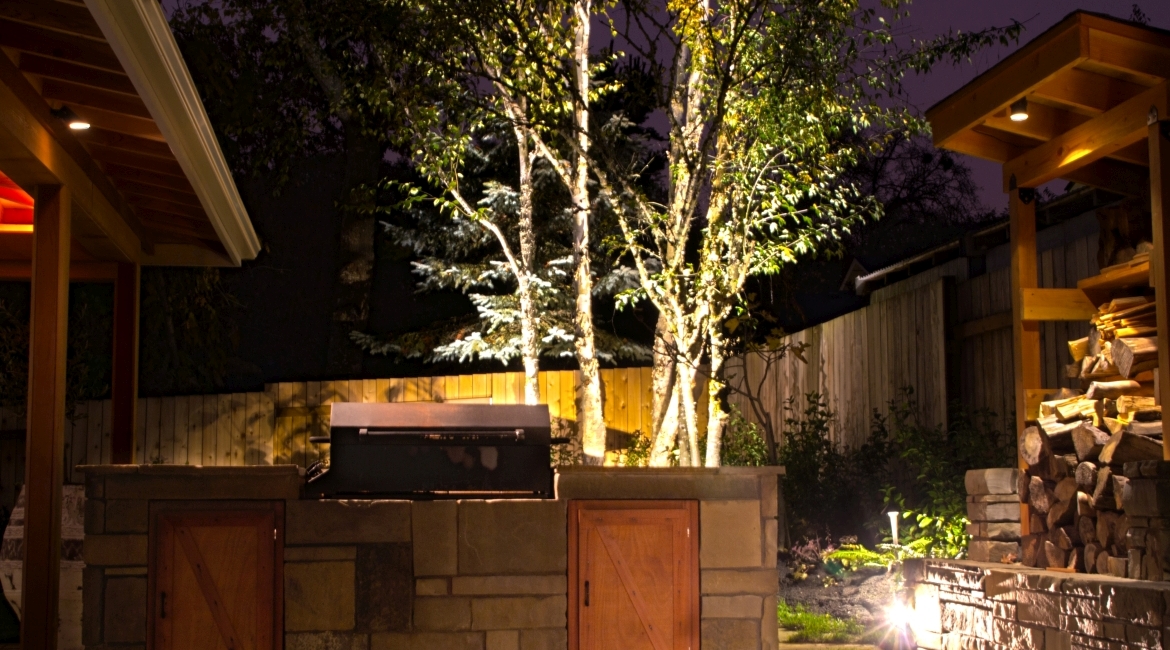 Outdoor Lighting in Oakvale CO illuminates trees